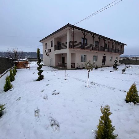 ホテル Pensiunea Alin Sisesti  エクステリア 写真
